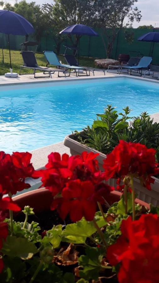 Holiday Home Dioniza Воднян Экстерьер фото